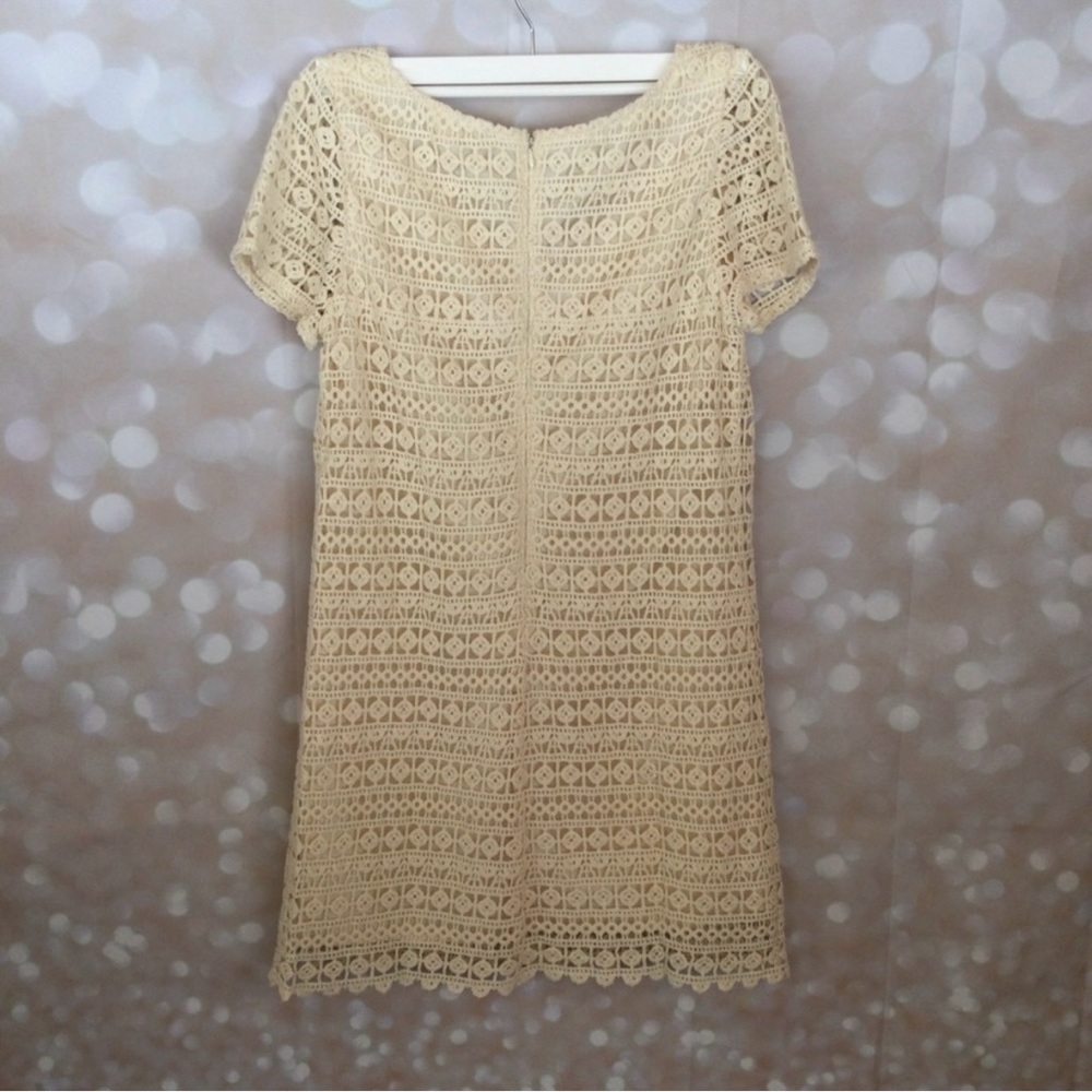 Urban Outfitters Staring at Stars Crochet Lace Cap Sleeve  Dress - Picture 6 of 8